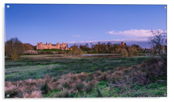 Framlingham Castle and Mere  Acrylic by Nick Rowland