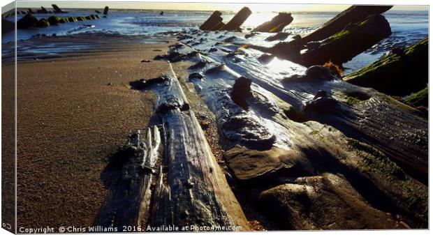 Tidal Timber Canvas Print by Chris Williams