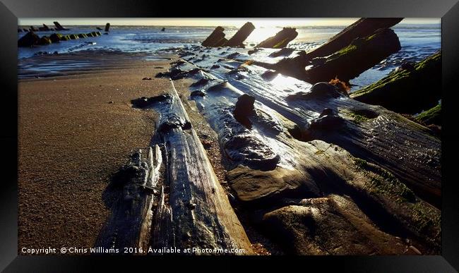 Tidal Timber Framed Print by Chris Williams