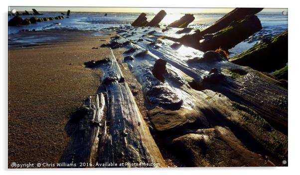 Tidal Timber Acrylic by Chris Williams