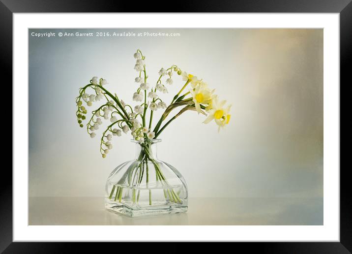 Lilies of the Valley in a Glass Vase Framed Mounted Print by Ann Garrett