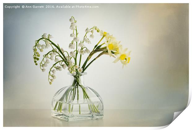 Lilies of the Valley in a Glass Vase Print by Ann Garrett