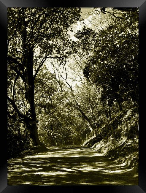 Tritone Image of the Road to Nosara Framed Print by james balzano, jr.