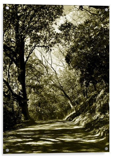 Tritone Image of the Road to Nosara Acrylic by james balzano, jr.