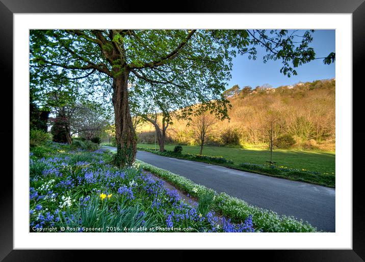 Ilsham Valley on the way to Meadfoot Beach Torquay Framed Mounted Print by Rosie Spooner