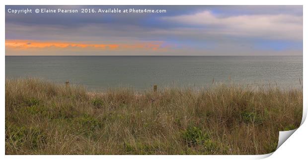 Through the dunes Print by Elaine Pearson