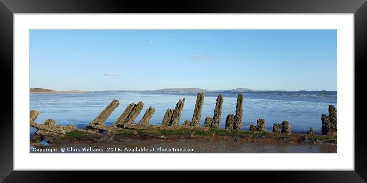 Gower View Shipwreck  Framed Mounted Print by Chris Williams