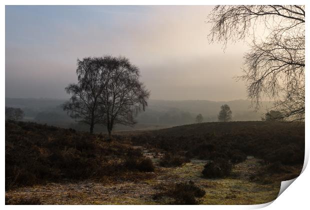 Dawn at Mogshade Hill Print by Bob Barnes