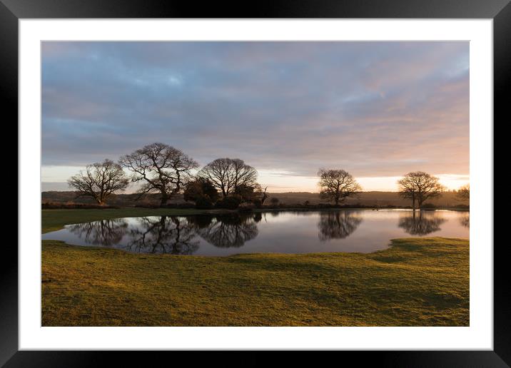 Early morning sun on Mogshade Pond  Framed Mounted Print by Bob Barnes