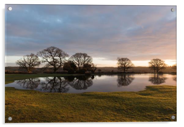 Early morning sun on Mogshade Pond  Acrylic by Bob Barnes