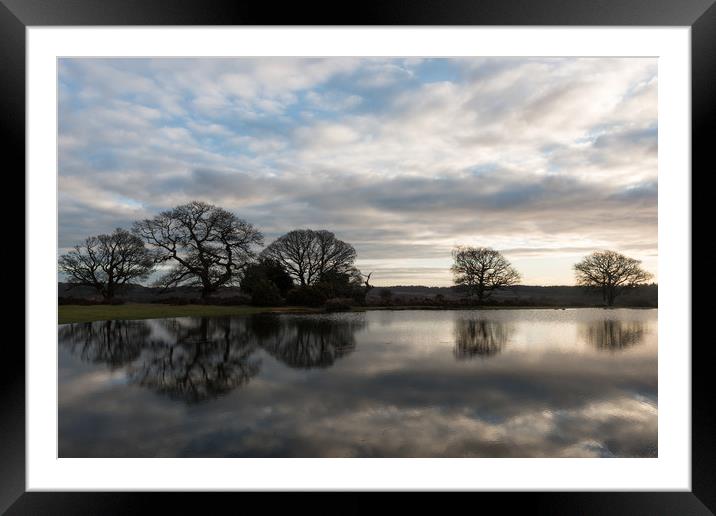In Reflective Mood Framed Mounted Print by Bob Barnes