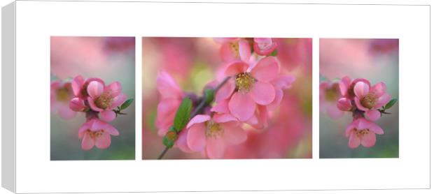 The Tender Spring Blooms. Triptych Canvas Print by Jenny Rainbow