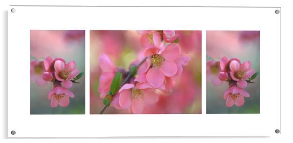The Tender Spring Blooms. Triptych Acrylic by Jenny Rainbow