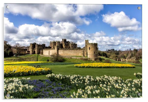 Alnwick Castle Acrylic by Northeast Images