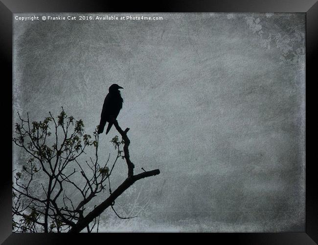 Majestic Crow Framed Print by Frankie Cat