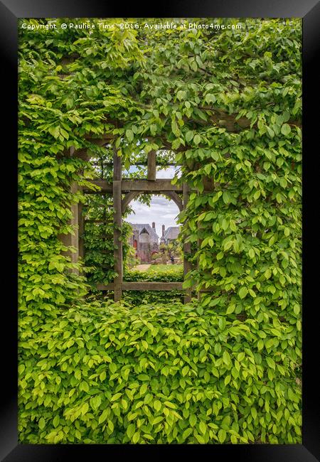 Arundel Castle , through the garden window Framed Print by Pauline Tims