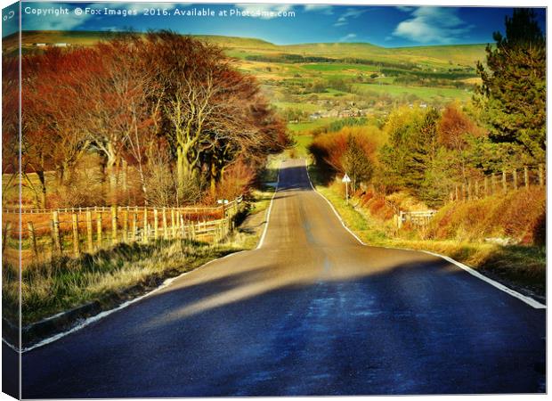 Countryside road Canvas Print by Derrick Fox Lomax