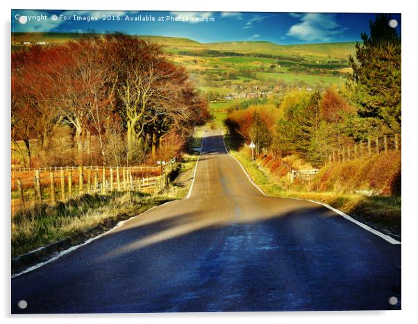 Countryside road Acrylic by Derrick Fox Lomax