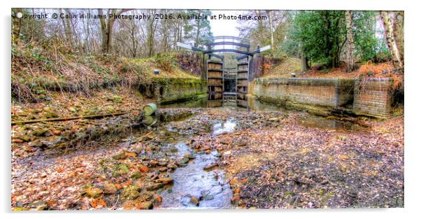 Deepcut locks Basingstoke Canal 4 Acrylic by Colin Williams Photography