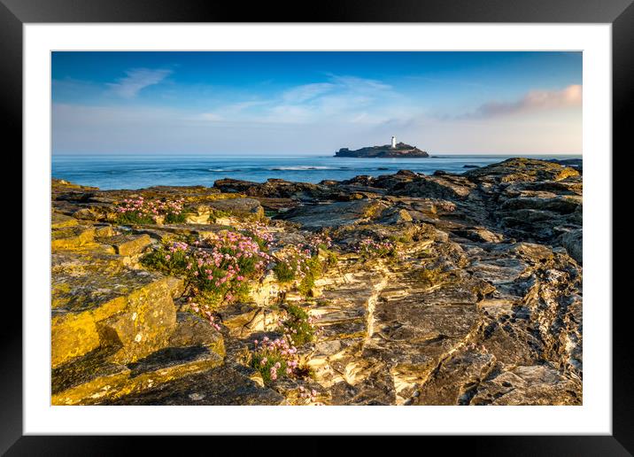 Godrevy rock garden Framed Mounted Print by Michael Brookes