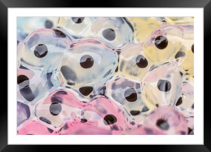 Abstract Frogspawn          Framed Mounted Print by chris smith