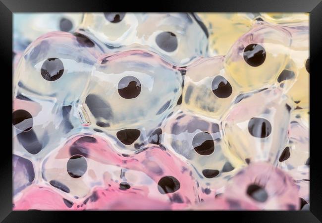 Abstract Frogspawn          Framed Print by chris smith