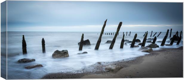 Wooden groynes           Canvas Print by chris smith