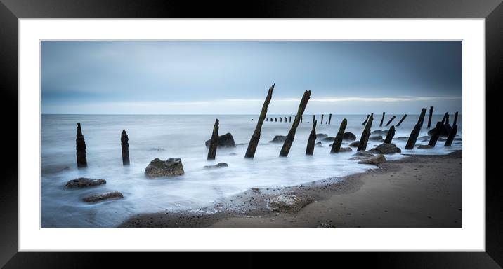 Wooden groynes           Framed Mounted Print by chris smith