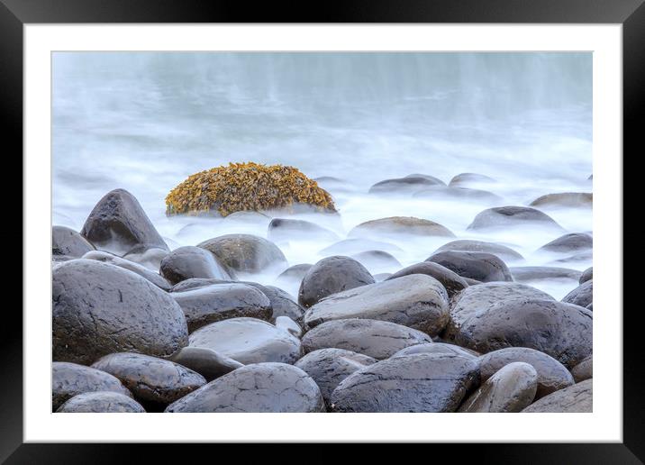 tranquil seaweed Framed Mounted Print by chris smith