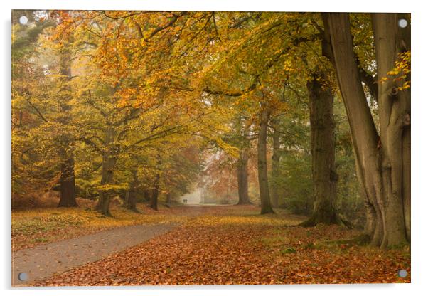 An Autumn Walk Acrylic by Bob Barnes