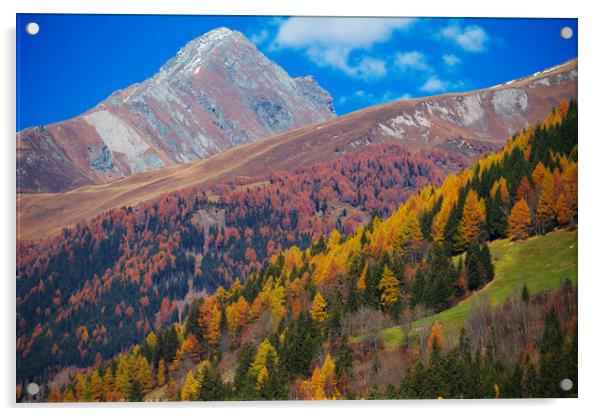 East Tirol in autumn. Austria. Acrylic by Tartalja 