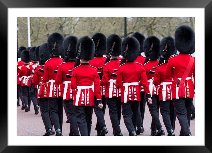 Grenadier Guards Framed Mounted Print by David Pyatt