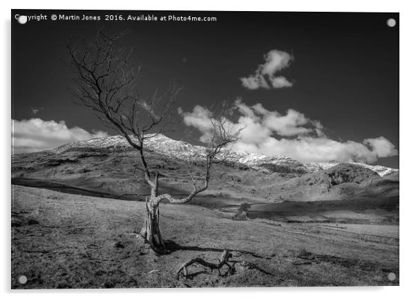 The Old Man of Coniston Acrylic by K7 Photography