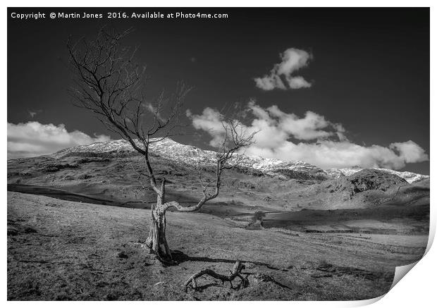 The Old Man of Coniston Print by K7 Photography