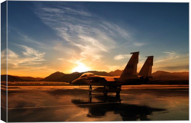 Eagle Basking Canvas Print by J Biggadike