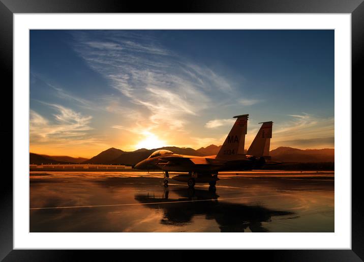 Eagle Basking Framed Mounted Print by J Biggadike