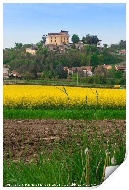 Colorful Fields By Castello di Roppolo in Piedmont Print by Fabrizio Malisan