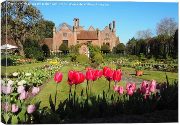 Spring Tulips at Chenies Manor Sunken Garden Canvas Print by Elizabeth Debenham