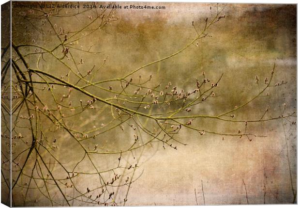 On Golden Pond Canvas Print by LIZ Alderdice