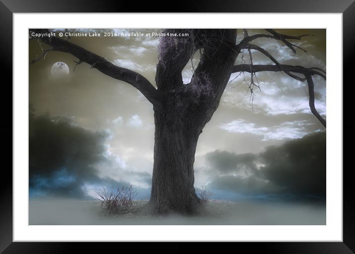 Twilight Song Framed Mounted Print by Christine Lake