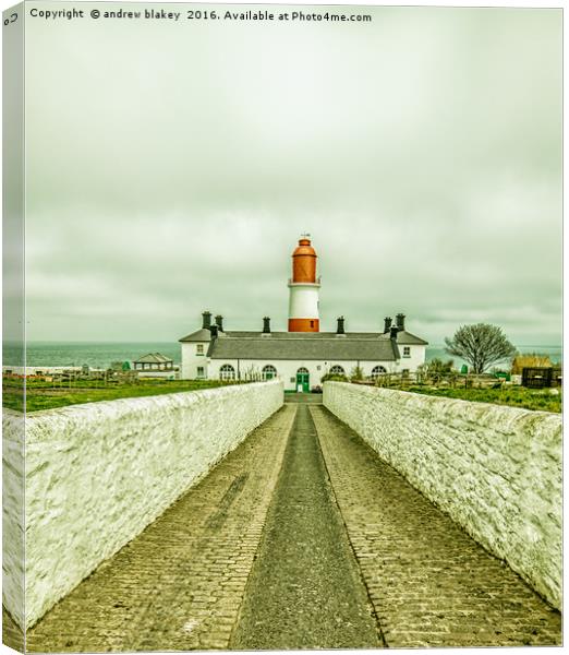 Souther lighthouse driveway Canvas Print by andrew blakey