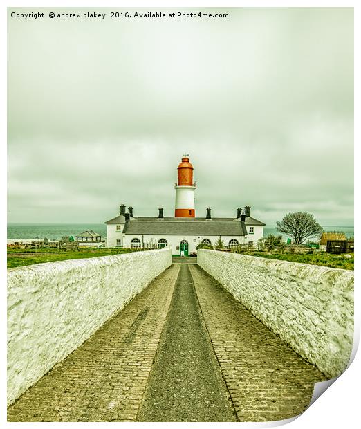 Souther lighthouse driveway Print by andrew blakey