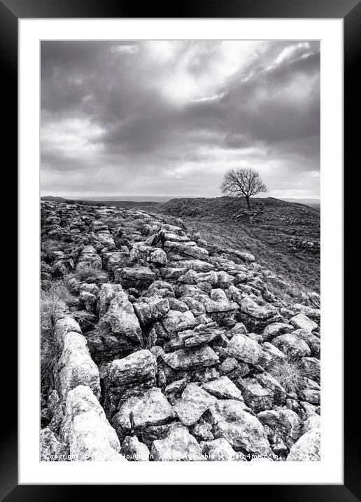 Malham Tree across the limestone Framed Mounted Print by Michael Houghton