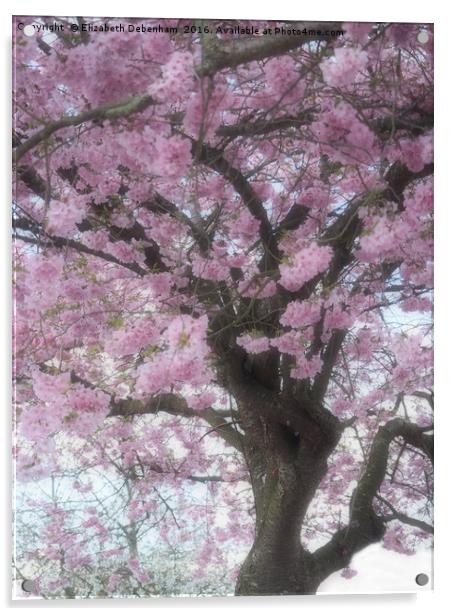 Softly focused Prunus blossom. Acrylic by Elizabeth Debenham