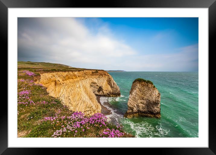 Freshwater Sea Thrift Framed Mounted Print by Wight Landscapes