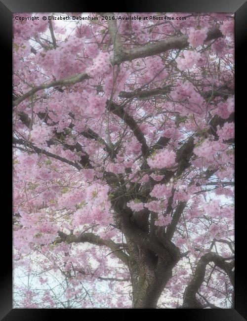 Cherry Blossom Haze Framed Print by Elizabeth Debenham
