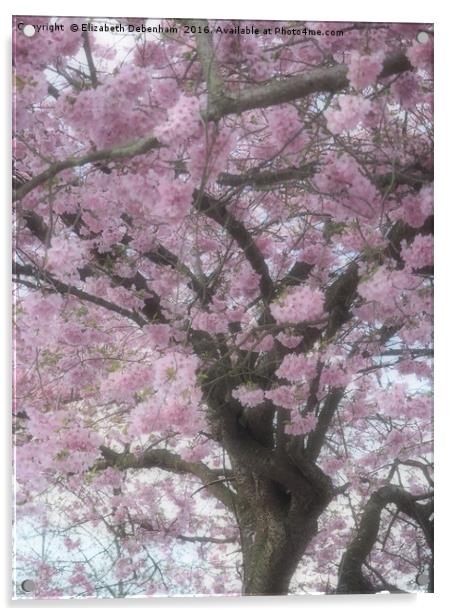 Cherry Blossom Haze Acrylic by Elizabeth Debenham