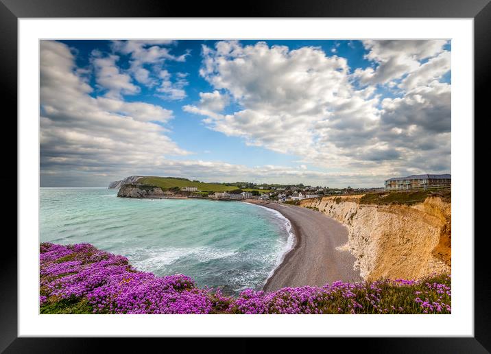 Freshwater Bay Sea Thrift Framed Mounted Print by Wight Landscapes