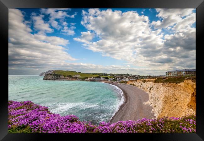 Freshwater Bay Sea Thrift Framed Print by Wight Landscapes