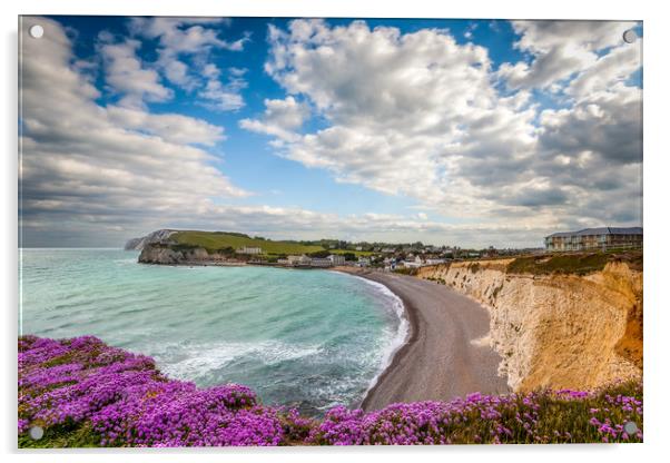 Freshwater Bay Sea Thrift Acrylic by Wight Landscapes